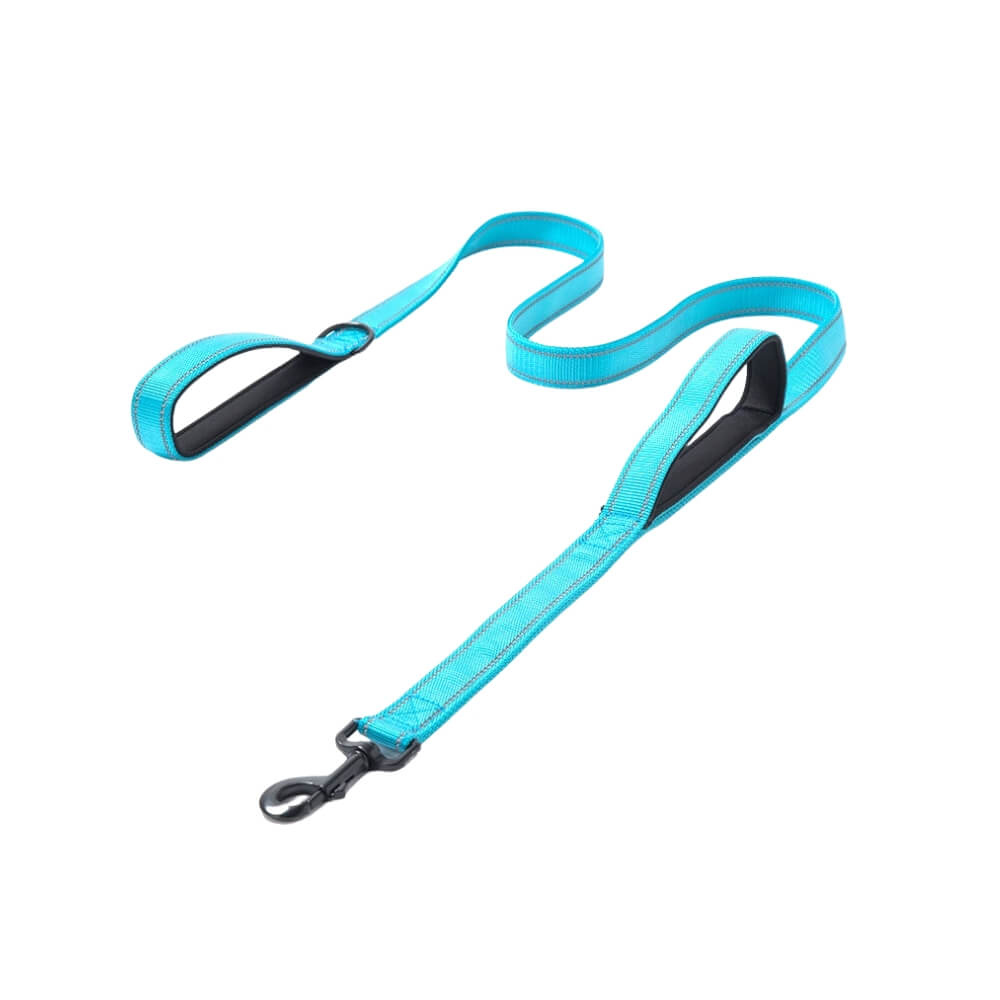  Light Blue Leash for Dogs with Reflective Design