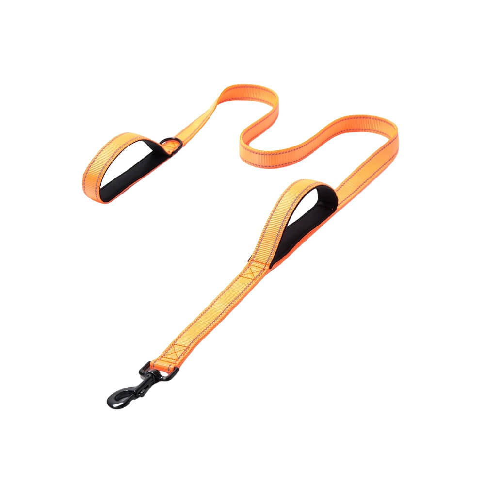 Orange Dog Leash, Great for Active Walks