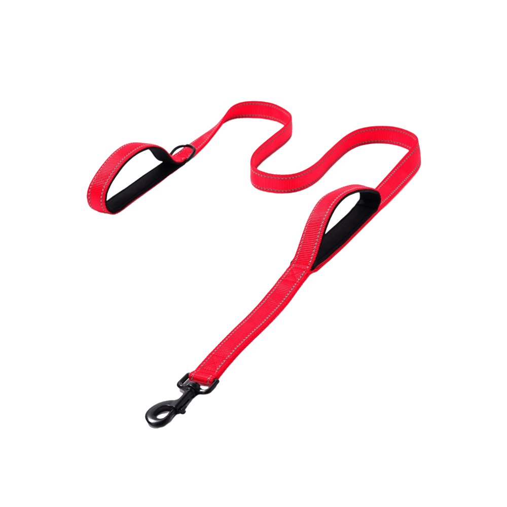  Red Leash for Dogs, Ideal for Walks