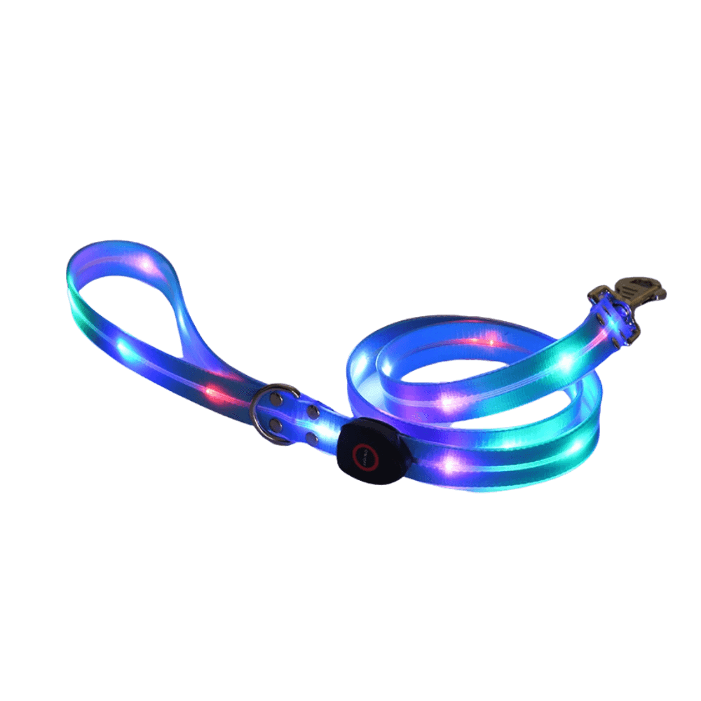 Light-Up Dog Leash in Blue for Night Walks