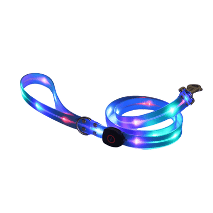 Light-Up Dog Leash in Blue for Night Walks