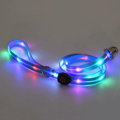 Blue Light Up Dog Leash