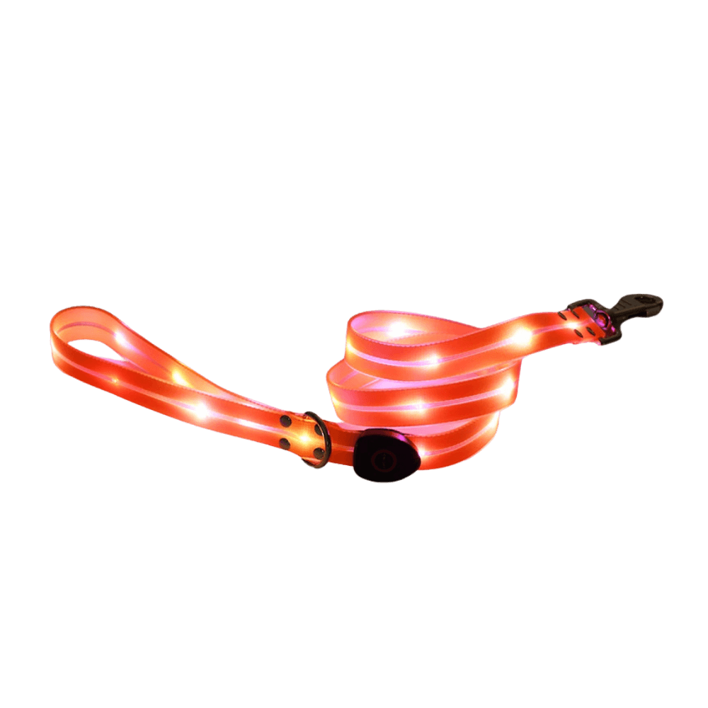 Bright Orange Light-Up Dog Leash for Safety