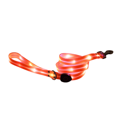 Bright Orange Light-Up Dog Leash for Safety