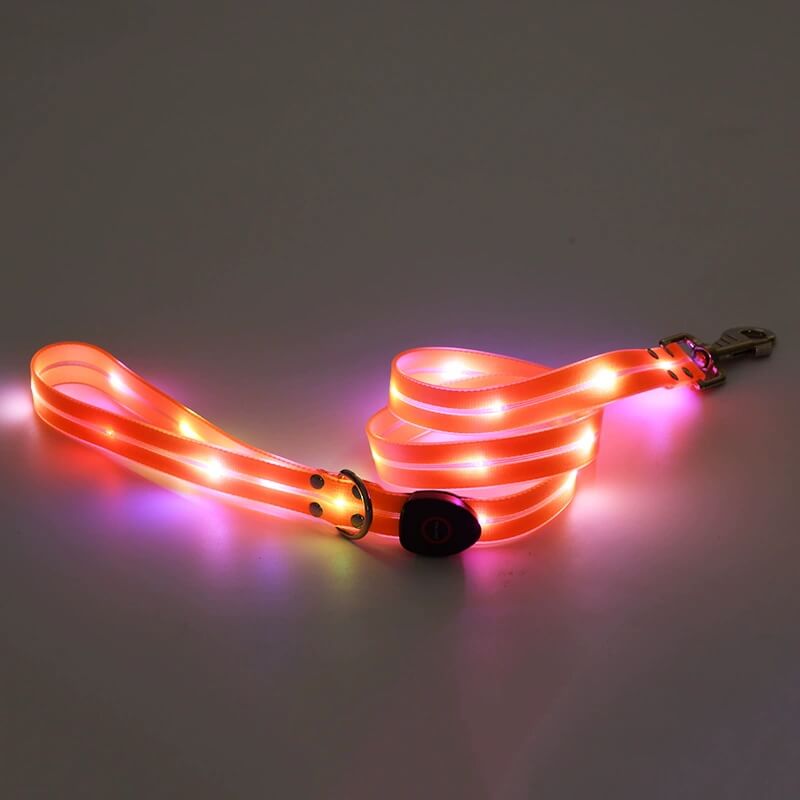 Orange Light Up Dog Leash