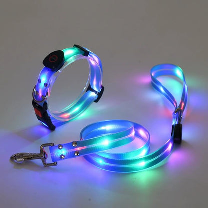 Blue Lighted Dog Collars And Leashes