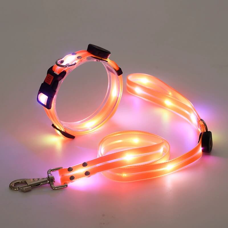 Orange Lighted Dog Collars And Leashes