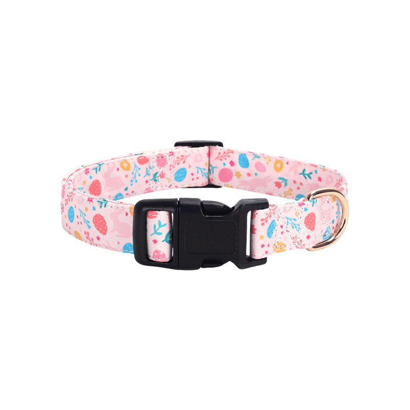 Main Image of Girl Dog Collar