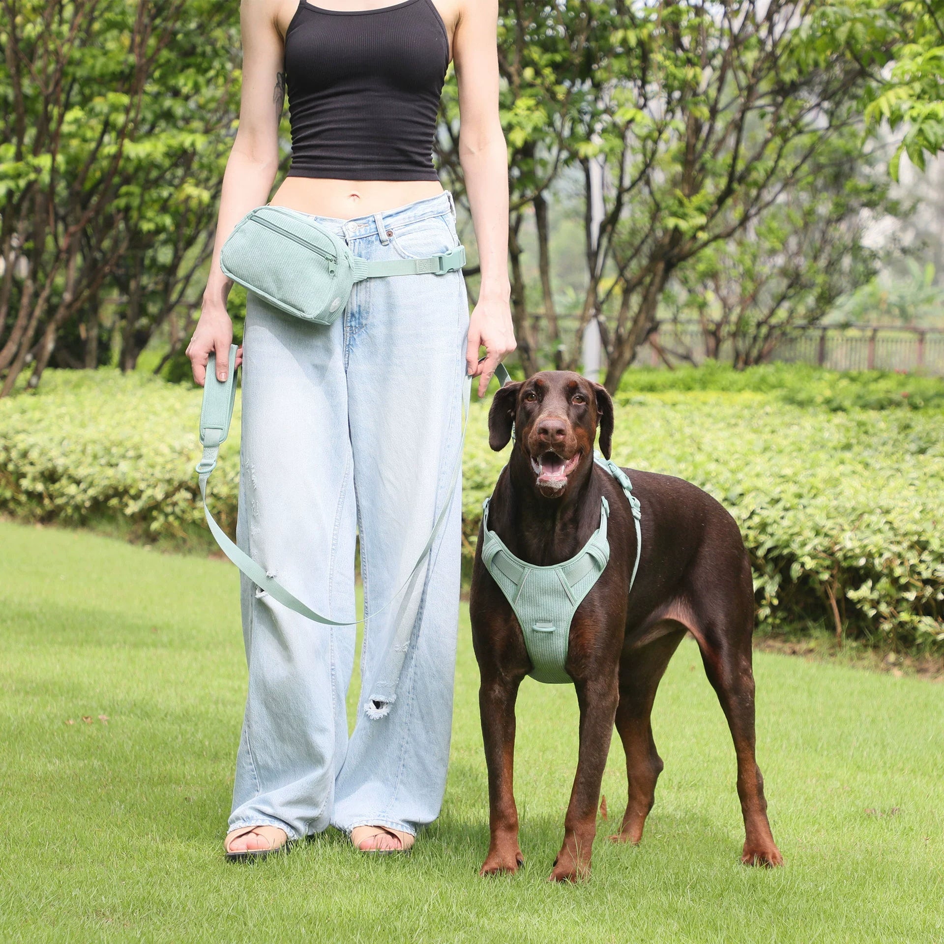 Mint Green Dog Collar and Harness Set in Action - Picture 1