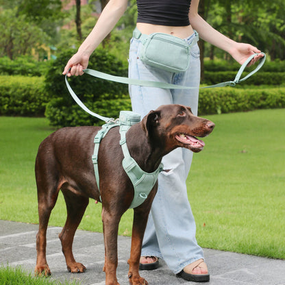 Mint Green Dog Collar and Harness Set in Action - Picture 4