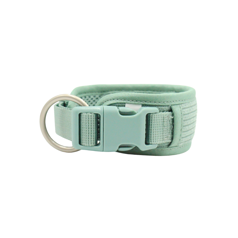 Mint Green Dog Collar for Everyday Comfort