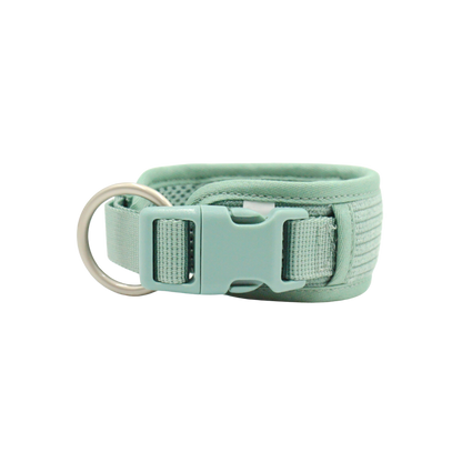 Mint Green Dog Collar for Everyday Comfort