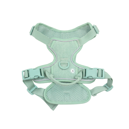 Mint Green Dog Harness with Secure Fit