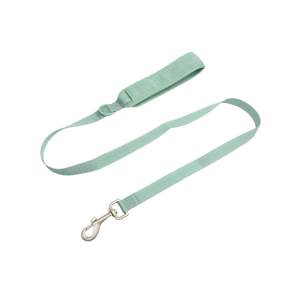 Mint Green Dog Leash for Stylish Walks