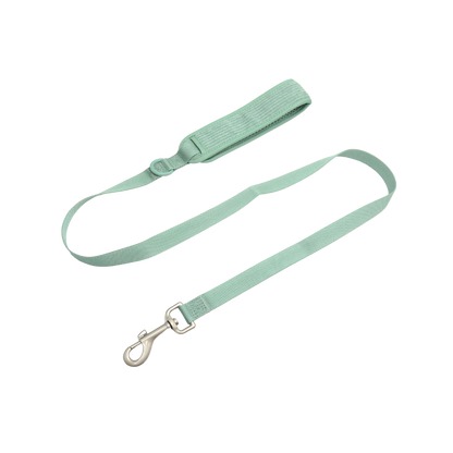 Mint Green Dog Leash for Stylish Walks