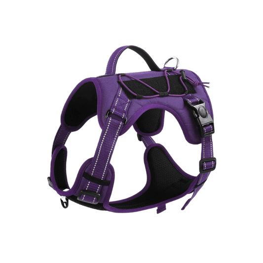 Purple Best Dog Harness with Handle for Small to Large Dogs