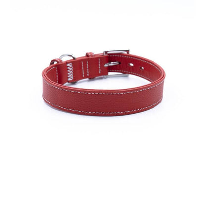 Bold Red Leather Dog Collar