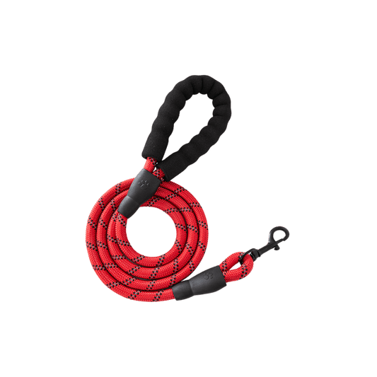 Red Rope Leash, Bright and Bold.