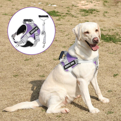 Dog Wearing Service Dog Harness With Handle