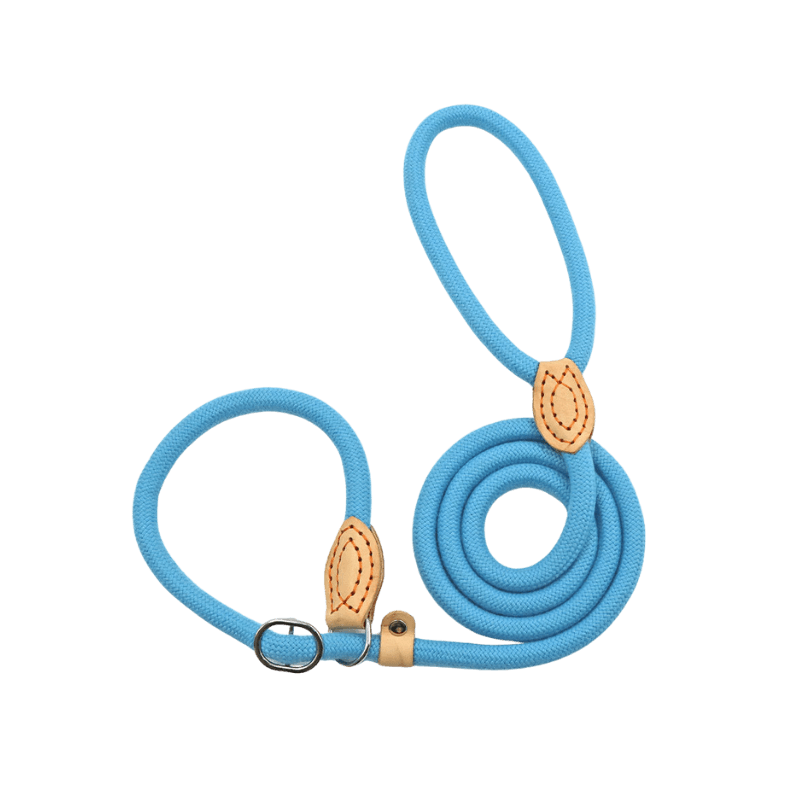 Blue Slip Leash for Dogs Designed for Comfort and Control