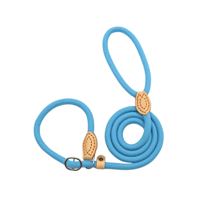 Blue Slip Leash for Dogs Designed for Comfort and Control