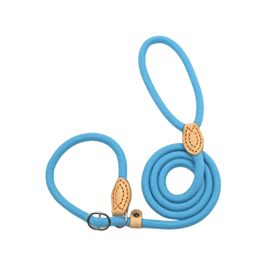 Blue Slip Leash for Dogs Designed for Comfort and Control