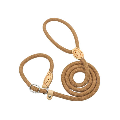 Brown Slip Leash for Dogs Classic and Reliable Design