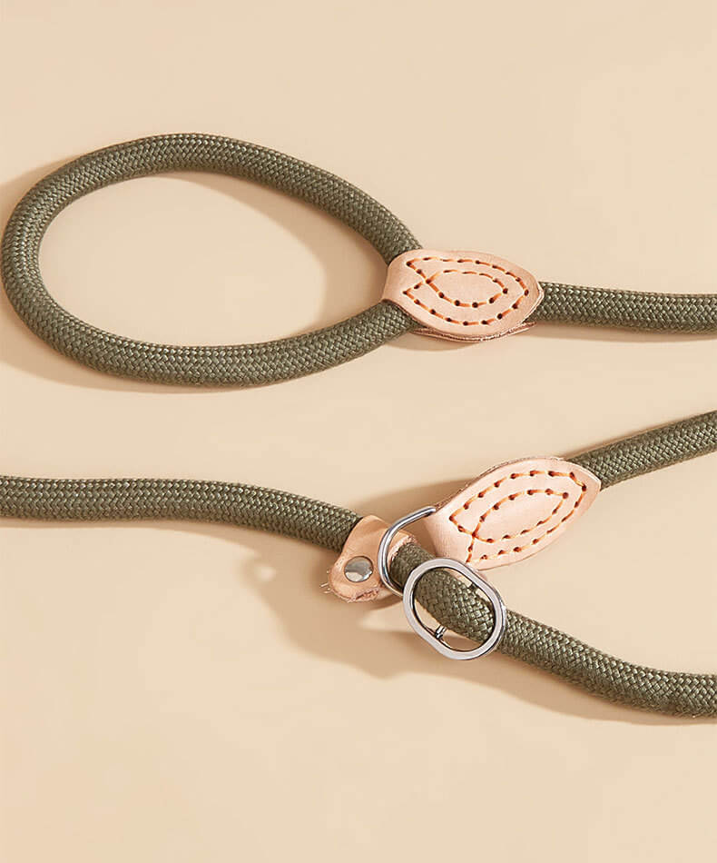 Close-up of Slip Leash for Dogs Showing Details