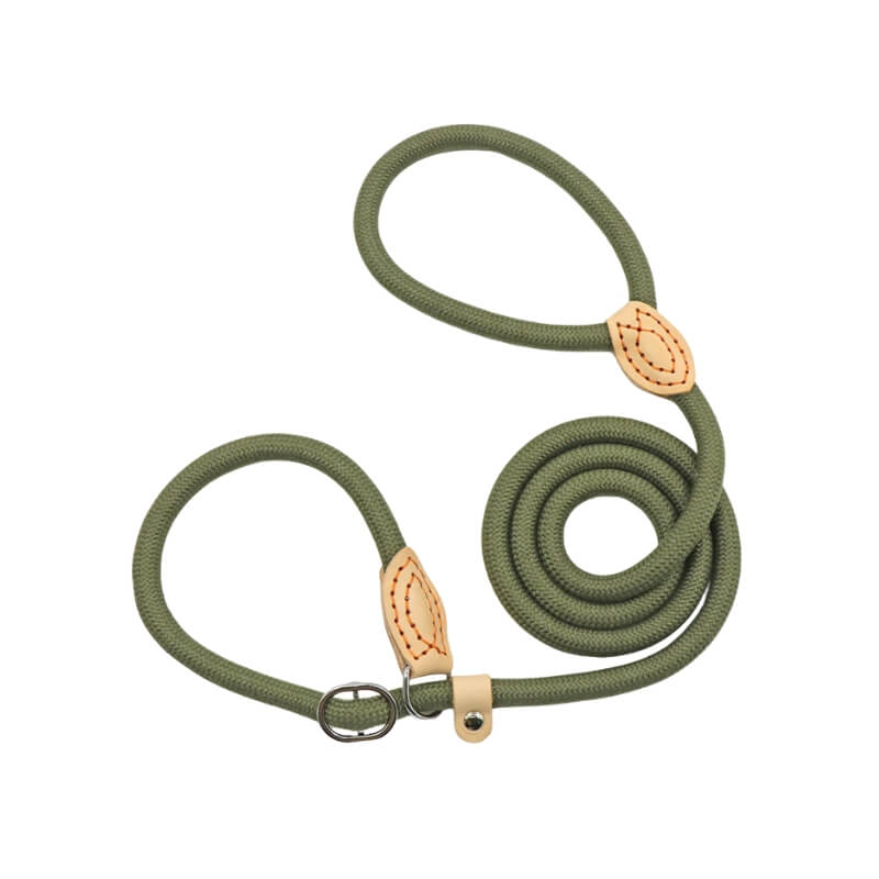 Green Slip Leash for Dogs Perfect for Outdoor Adventures