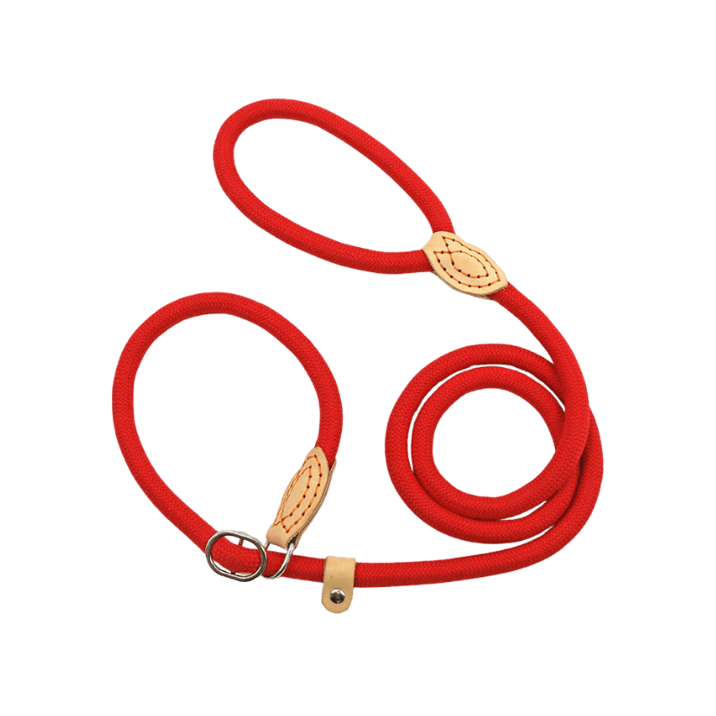 Red Slip Leash for Dogs Ideal for Stylish Walks