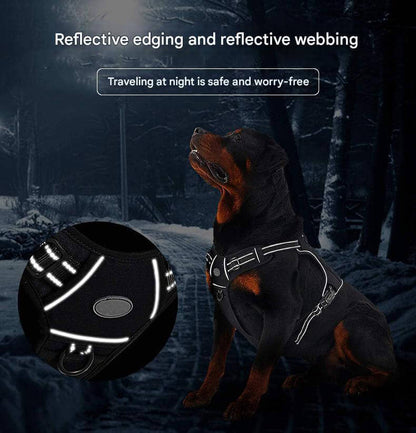 Reflective Webbing For Increased Visibility And Safety During Nighttime Walks